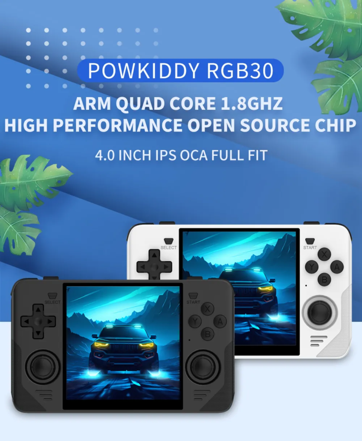 Powkiddy RGB30