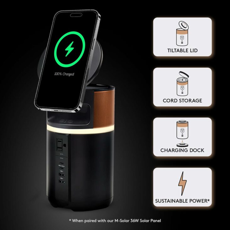 Duracell M250
